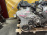 Двигатель Nissan HR16-183497C Note/Tiida