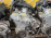 Двигатель Nissan HR16-211167B Note/Tiida