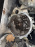 МКПП Mitsubishi 3A92 F5MBD-1-BAZ 2WD 1.0-1.2 L (2500A422) Space Star '2013-