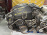 Двигатель Mitsubishi 4G63-Б/Н 2WD/4WD 2 вальн DOHC Chariot/RVR N23