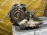 АКПП Mitsubishi 4G63/4D68 W4A321FPF1   (3307) 4WD Chariot/RVR N48W/N28W