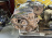 Двигатель Mitsubishi 4G63-QC1249 2WD/4WD 2 вальн DOHC Chariot/RVR N23W
