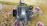 Генератор Toyota 1NZ-FE/2NZ-FE Corolla NZE141 ДЕФЕКТ РАЗЪЁМА 4 конт. ( L/IG/M/RLO ) NEW 27060-21131/-21130 / 104210-8390/-8090
