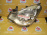 Фара NISSAN 100-63824 лев Bluebird Sylphy KG11 '2005-2012 Xenon