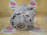 Генератор Audi CTGA A6 D4/4HC '2016 4.0L V8 TFSI с охлаждением 14V 190A 079903015P