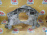 Кронштейн кпп Audi CTGA A6 D4/4HC '2016 4.0L V8 TFSI 4WD 8HP55A F 4H0399263AK