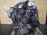 Двигатель Porsche Cayenne M48.00-81421474 4.5L V8 955/9PA '2004