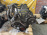 Двигатель Toyota 5E-FE-1112938 ТРАМБЛЕРНЫЙ БЕЗ НАВЕСНОГО Caldina/Corolla/Corsa/Raum EXZ10