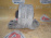Подушка двигателя Mini W11B16AA Cooper S R53 '2004 АКПП GA6F21WA-ANA L в 22326768207