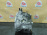 АКПП Mini Countryman N16B16A GA6F21WA-ANJ 24009804359, 24009810260 R60 '2012
