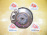 Ступица Toyota NCP131/NSP130/NSP131/KSP130/NHP130/NSP135 Vitz перед, лев 2WD ABS.4шпильки. Диаметр диска-255мм. Толщина-V22.В сборе с диском и суппортом. 432