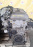Двигатель Nissan SR20-DE-029782 2WD БЕЗ НАВЕСНОГО пробег 22 т.км R'nessa N30-117880
