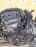Двигатель Toyota 1ZZ-0982935 без охлаждения Vista Ardeo ZZV50-0043006