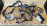 Коса ДВС Toyota 3C-E Corolla CE113-2007747 '04.1998-08.2000 a/t A241L деф. корпуса компьютера 89661-1E230 (спид. мех.) 82121-1T240