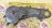 Кожух ГРМ Toyota/Daihatsu EJ Duet#Storia M100A ДЕФЕКТ в 11302-97203 / 11321-97201