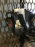 Блок ABS NISSAN NT30 X-Trail 47600-8N720