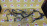 Коса ДВС Toyota 5A-FE Corona Premio/Carina AT212-0013031 2WD a/t ( ДЕФЕКТ ) A240L без привода спидометра трамблёр 4+2 конт. 82121-2M160