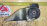Подушка двигателя Mazda B3/B5 Demio DW3W ДЕФЕКТ перед, прав D26839060 / DA98-39-060