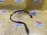 Провод датчика ABS Opel Astra G T98/F69 2H9/Z18XE 09131387 '2002