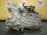 МКПП Ford Focus 2 AODA 2.0L 5MT MTX75 6M5R7002VC CAP '2008