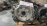 АКПП Isuzu 6VD1/6VE1 4L30E / GM 96023767  БЕЗ БУЛИКА 4WD не TOD  4 конт. спереди, 7 конт. сзади, раздатка с электромотором Trooper/Bighorn/MU/Wizard U