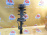 Стойка Toyota GSU40/GSU45/ASU40/MHU48L/GVU48 Highlander перед, лев KYB 339231
