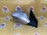 Зеркало Hyundai Sonata YF/GF прав 9к левый руль (царапины) 876203S220Y5 '2012 (Серебро)