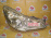 Фара Subaru 100-20061/62/63 прав Legacy BRM Xenon (в сборе) Хром Дефект крепления Дефект стекла