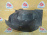 Подкрылок Renault Kangoo KW '2014 перед, лев задняя часть (трещина) 8200436709