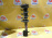 Стойка Subaru GD9/GDA/GDB/GG3/GG9/GGA/GGB Impreza '2000-2002 зад, лев 20360FE071