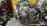 Двигатель Toyota 1NZ-FE-B683407 SWAP +АКПП+КОСА КОМП МЕХ ДРОСЕЛЬ Platz NCP12-0383779 '2001- ПРОБЕГ 88 Т КМ