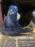 Крыло Toyota Vitz/Yaris KSP90 '2005-2007 перед, прав с отверстием Дефект (53811-52210) (Синий)