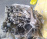 Двигатель Toyota 2C-3594340 2WD вак. 2 цилиндре Caldina CT196