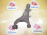 Рычаг Subaru BS9/BSD/BSF/BSG/BN9/BNF/BNG/BRF/BMF/BMM/SJ5/SJ9/SJD/SJG/GP3/GP7/GT3/GT7 Outback/Legacy/Forester зад, лев в 4WD Чугунный. 20252SG010.20252SG011