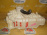 Моторчик печки Nissan B15/G10/P12/V10 Sunny/Bluebird Sylphy/Primera/Tino (без термодатчика) 27200-4M416