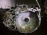 АКПП Mitsubishi 4B10/4B11 F1CJA-2-B3W   (1XG4E)  2700A243 2WD CVT Без гидромуфты,дефект разъема управления Lancer/ASX/Galant Fortis GA3W '2010-2013