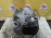 АКПП Land Rover Range Rover Evoque 204PT 4WD TF-81SC без раздатки BJ327000AB, LR024712 L538 '2013