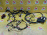 Коса ДВС Land Rover 204PT Range Rover Evoque L538 '2013 2.0L 16V TIVCT BJ3212B637AD, LR033045