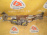Моторчик привода дворниками Toyota Platz/Vitz NCP1# F (с трапецией) коррозия 85110-52020
