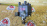 Трамблер Toyota 3RZ-FE Granvia RCH11/RZN185 4 конт. 19050-75020 / DSND00019