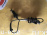 Датчик ABS Honda Freed/Freed Spike GB3/GP3 перед, прав 57450-SYY-003