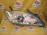 Фара TOYOTA 06-212 (33-150) (81145-33850) прав Camry ASV50 '2011-2014 Китай (Xenon)