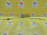 Трос переключения Акпп Opel Astra G T98/F69 2H9/Z18XE '2002 4AT AISIN 60-41SN AF17 RJ 90523461