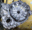 АКПП Toyota 2ZRFXE P610-03A  3090047110 CVT Передний привод C-HR ZYX10