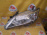 Фара TOYOTA 06-216 xenon лев Camry AVV50 '2011-2014 Дефект стекла (глубокие царапины)