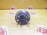 Ступица Toyota ST200/ST201/ST202/ST203/ST204/ST206/ST207/ST208 Carina ED/Corona Exiv/Celica/Curren R 2WD Без ABS. Голый подшипник. 42410-20150