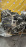 Двигатель Toyota 1MZ-0951713 4WD БЕЗ КОНДЕРА Estima/Kluger V MCR40 MCU25