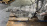 АКПП Toyota 3GR/4GR A960E (35010-30A90) 2WD Mark X GRX121
