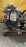 Двигатель Nissan HR12-DDR-072851A В СБОРЕ Note E12