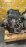 Двигатель Mazda L5-VE-10220474